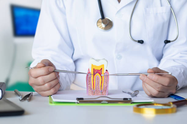 Best Pediatric Emergency Dentist in Trappe, PA